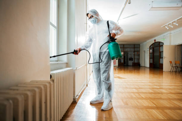 Best Real Estate Pest Inspections  in Riddle, OR